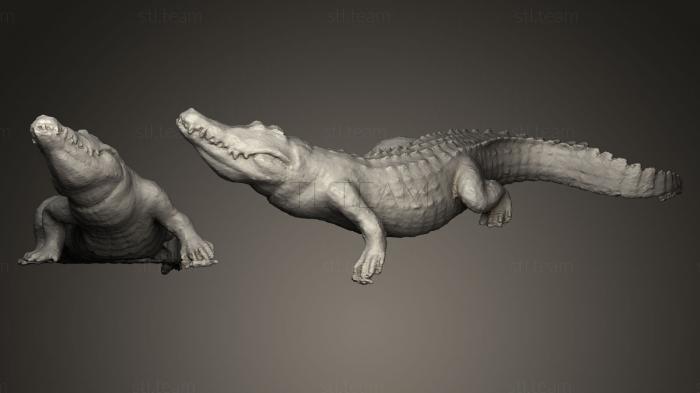 3D model Krokodil (STL)